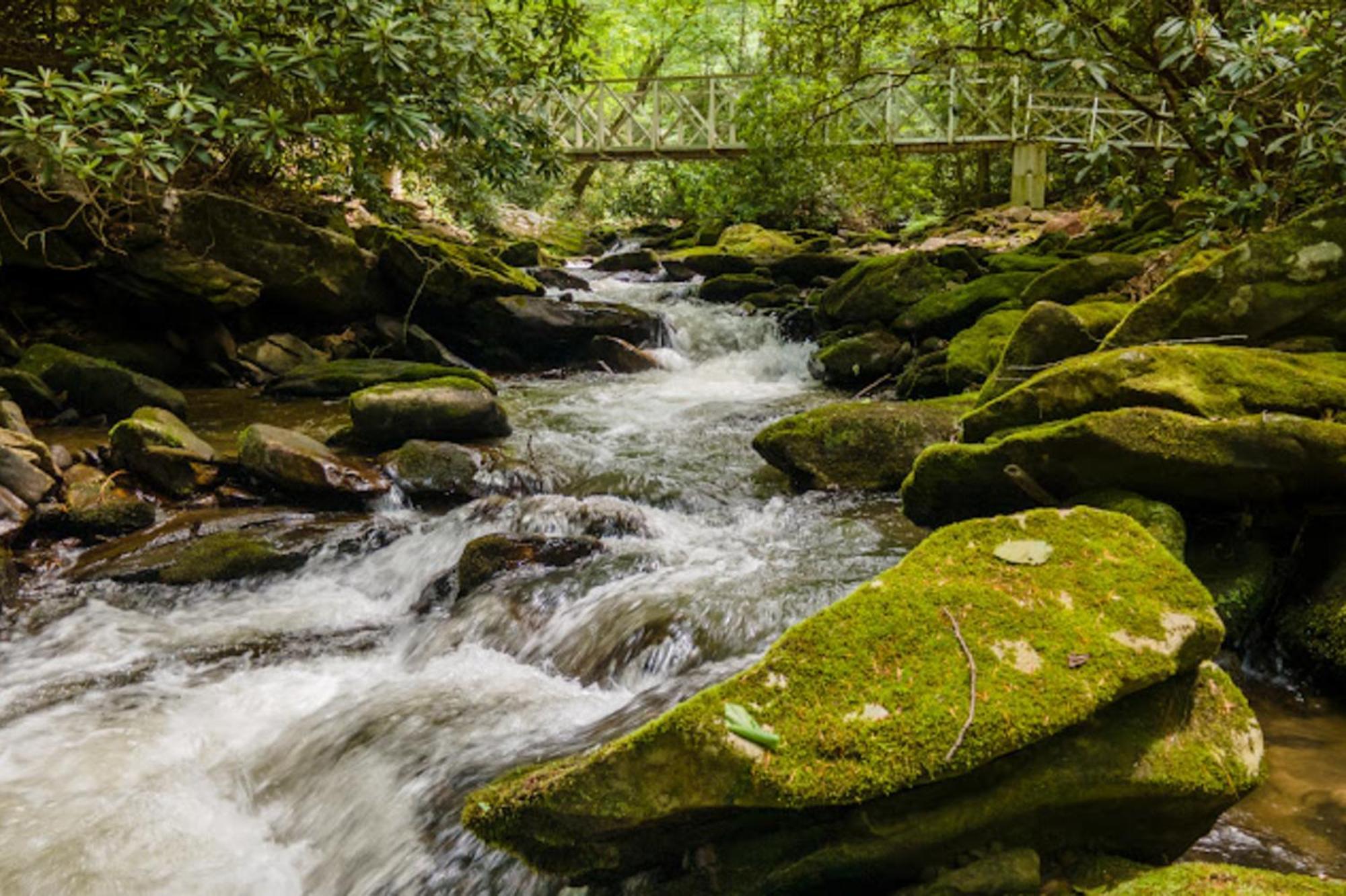 Creel Lodge At Middle Creek Otto Ngoại thất bức ảnh